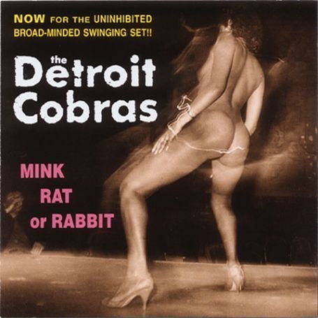 Name:  album-mink-rat-or-rabbit.jpg
Views: 3515
Size:  36.9 KB