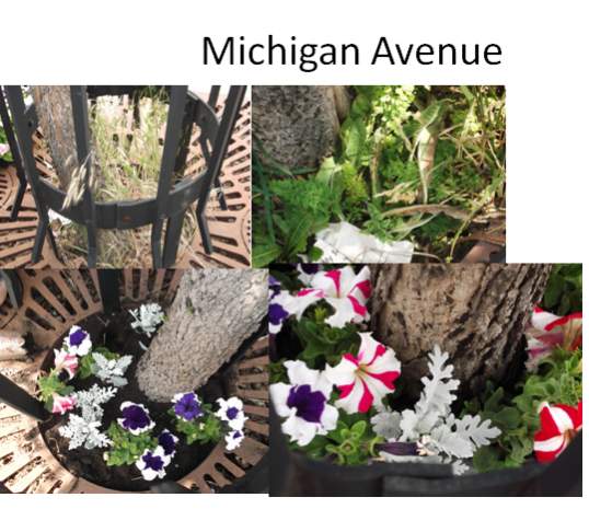 Name:  Michigan avenue after.jpg
Views: 274
Size:  46.1 KB