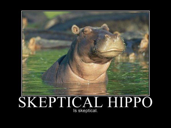 Name:  skeptical_hippo.jpg
Views: 2470
Size:  38.6 KB