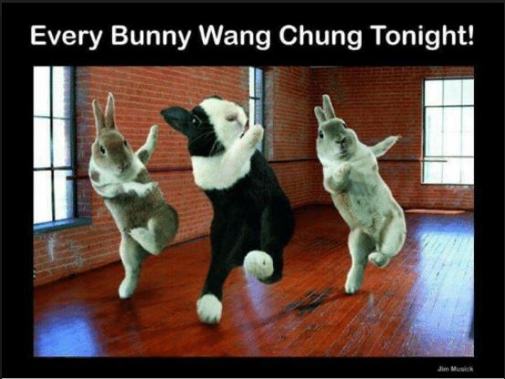 Name:  Everybunny Wang Chung Tonight.JPG
Views: 265
Size:  46.3 KB