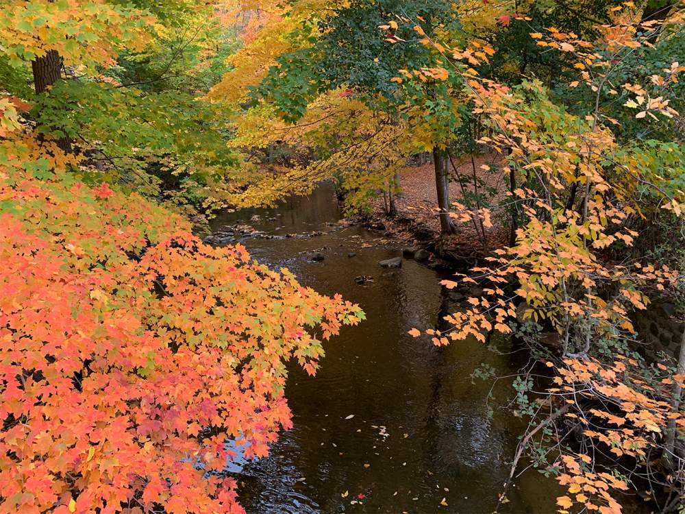 Name:  autumn-color-bridge.jpg
Views: 993
Size:  195.5 KB