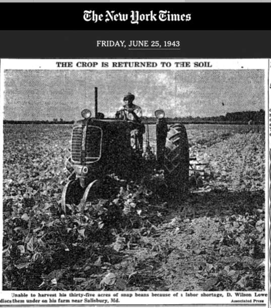 Name:  1943-06-25 Plowing under crops due to lack of labor.jpg
Views: 1267
Size:  64.8 KB