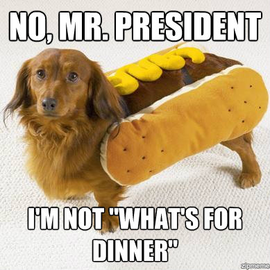 Name:  obama_eats_dog_meme.jpg
Views: 260
Size:  47.1 KB